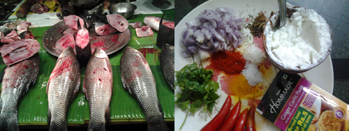 Ingredients-Doi Mach